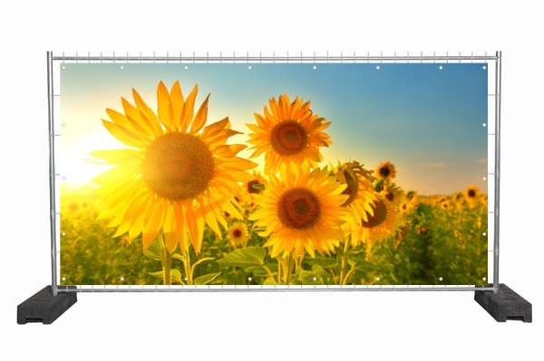 Sonnenblumen