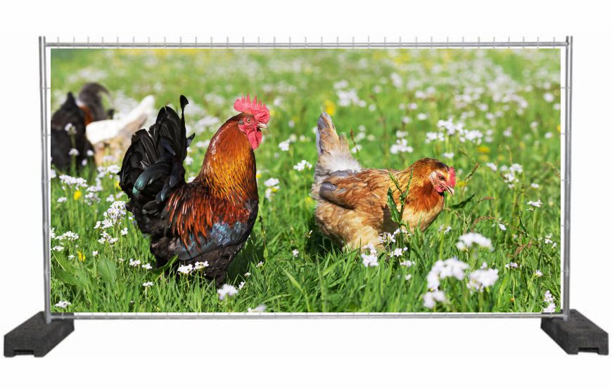 Bauzaunplane mit Naturmotiv Henne & Hahn / Sichtschutzbanner