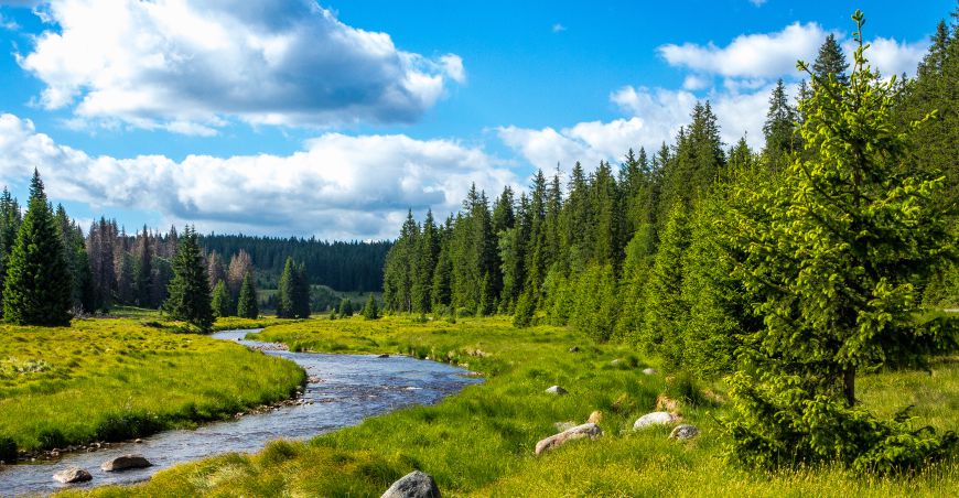 Bayerischer Wald