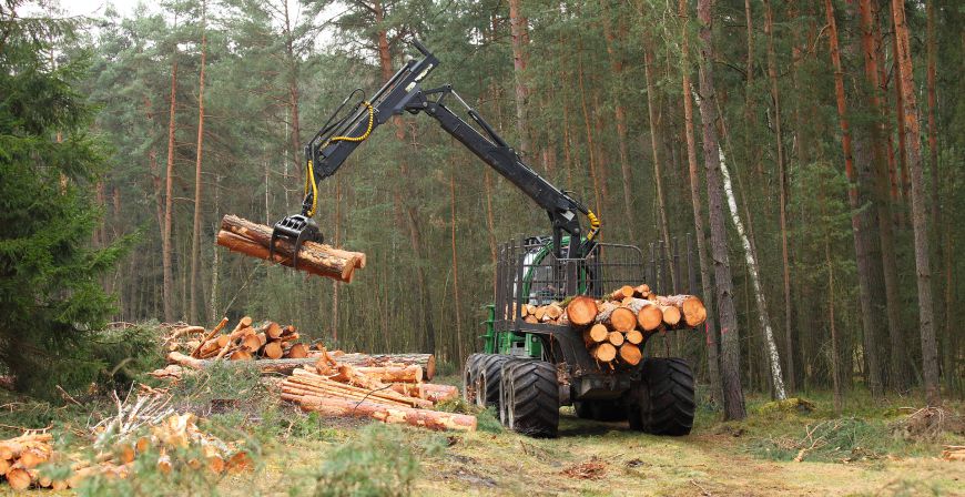 Harvester beim Verladen von Baumstämmen