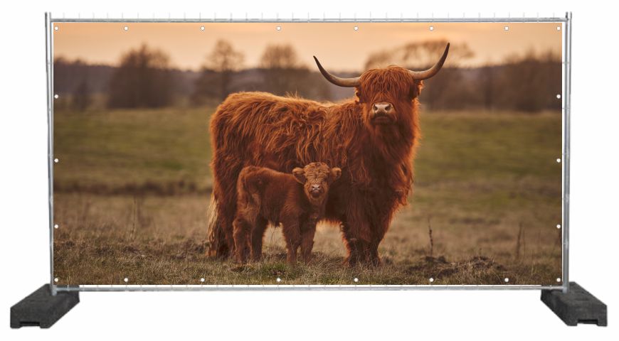 Dekobanner mit Galloway Motiv