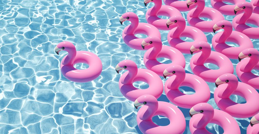 Pool Flamingos Motiv