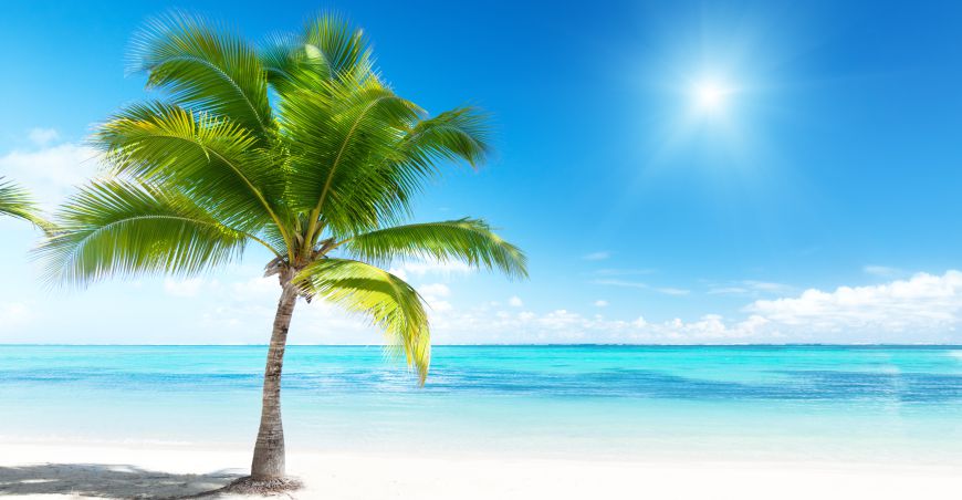 Palme & Strand Motiv