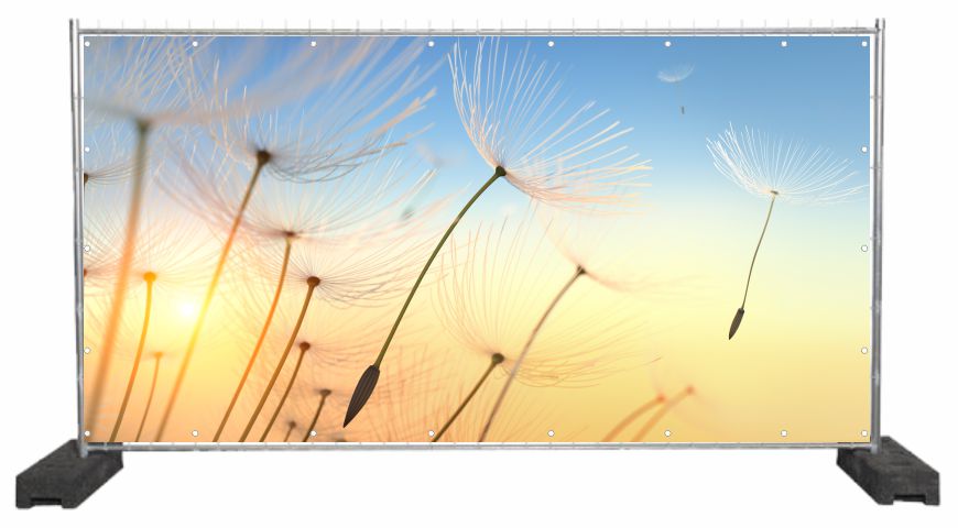 Dekobanner Sommer Pusteblume
