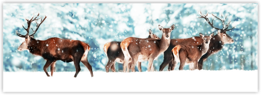Winterlandschaft Dekoplane