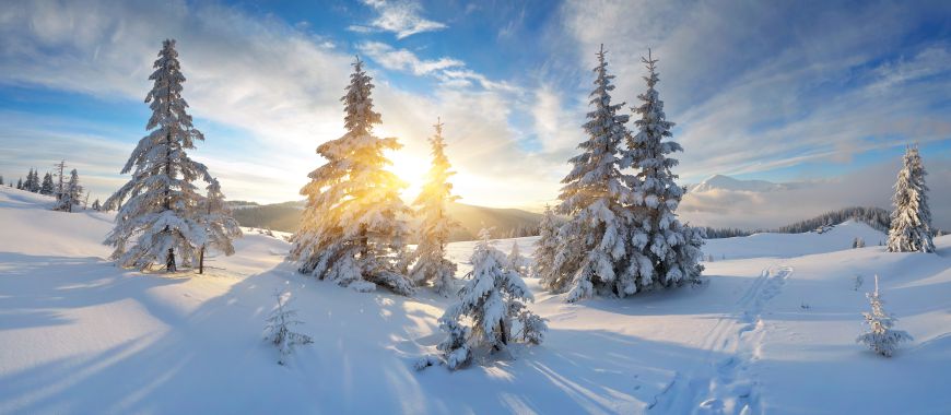 Winterlandschaft Dekoplane